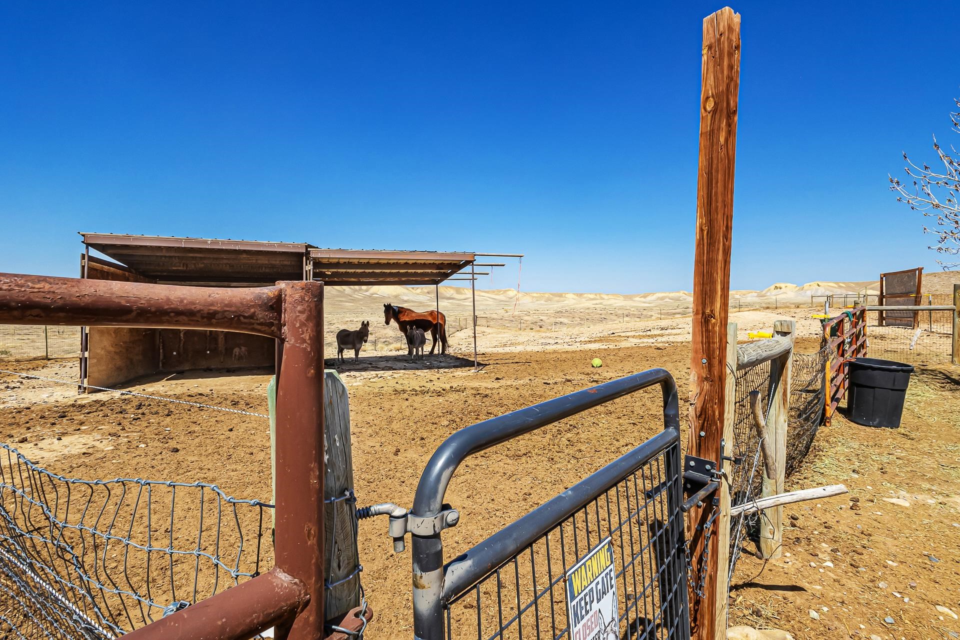 33104 Willow Bend Road Whitewater, CO 81527 - Photo 33 of 42
