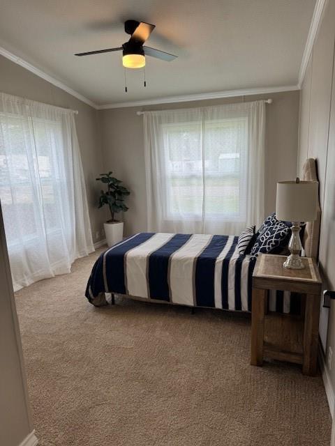 131 Lipan Trail Weatherford, TX 76087 - Photo 20 of 25 a bed room with a bed and a window