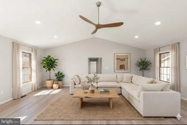 a living room with furniture and a potted plant