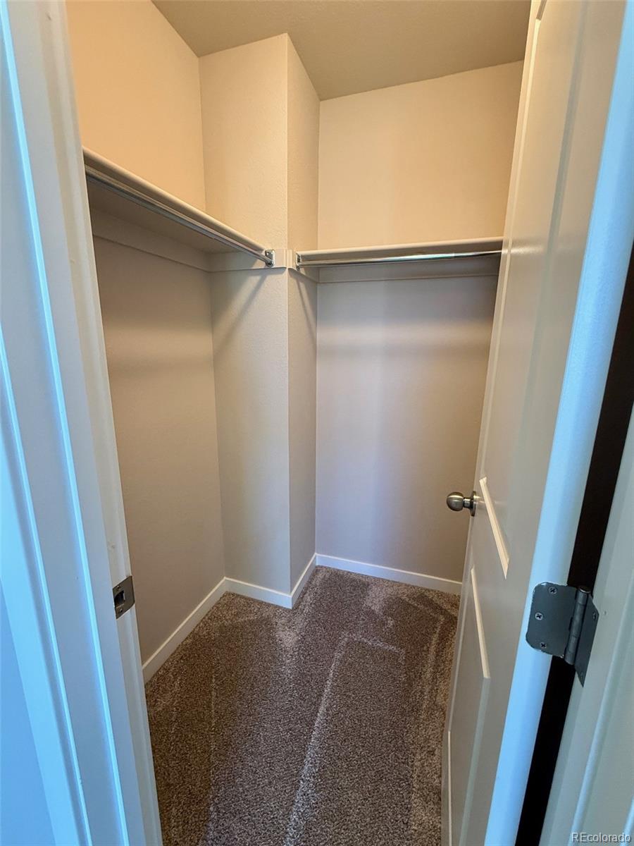 757 North Clubview Street Watkins, CO 80137 - Photo 18 of 24 a view of closet