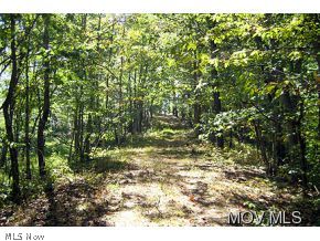 3010 Dungeon Road Berea, WV 26327 - Photo 5 of 5