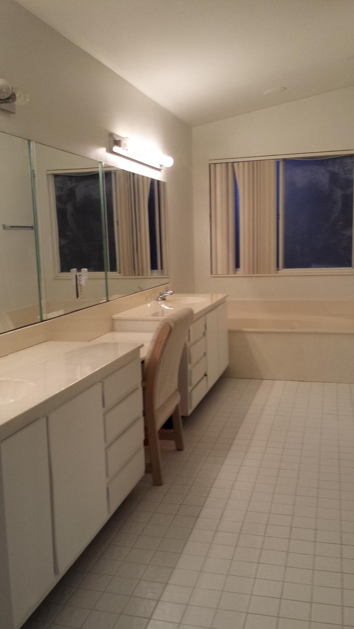 10607 Palm Spring Drive Boca Raton, FL 33428 - Photo 6 of 6 Master Bathroom