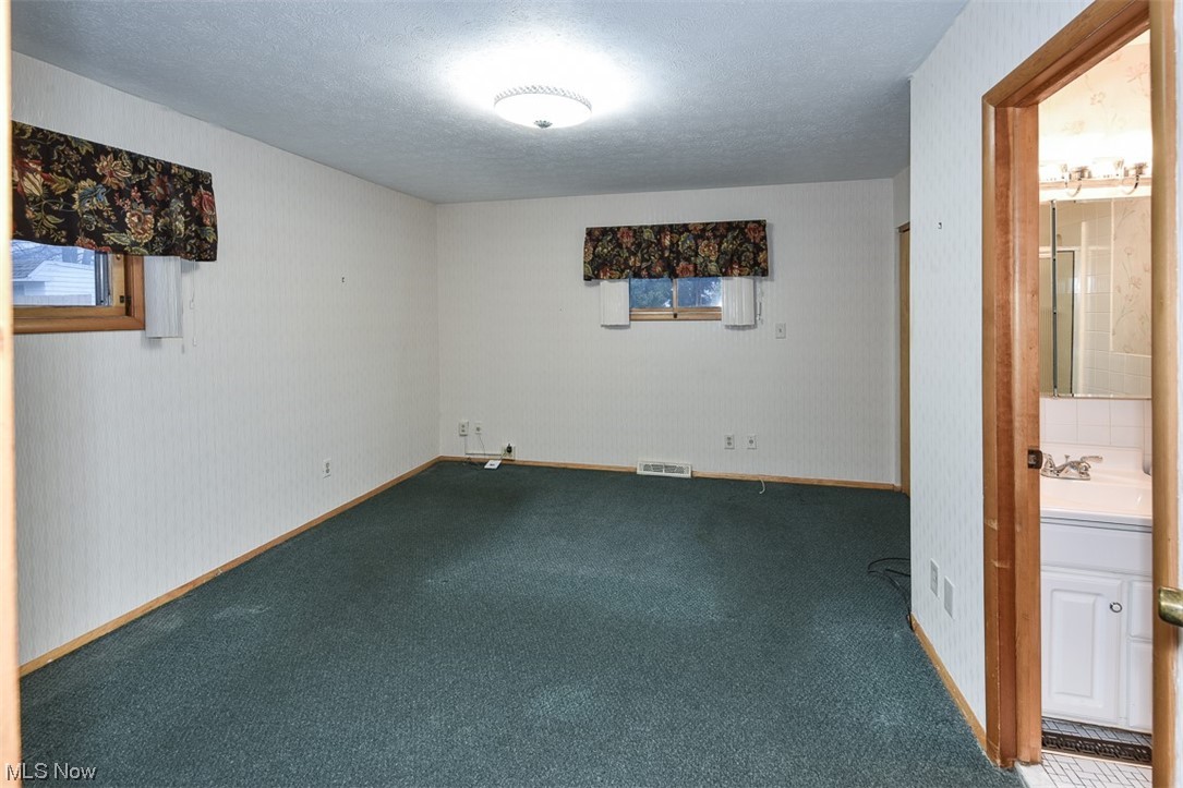 4026 Stonehaven Road Cleveland, OH 44121 - Photo 19 of 30 Empty room with dark colored carpet, a textured ceiling, and sink
