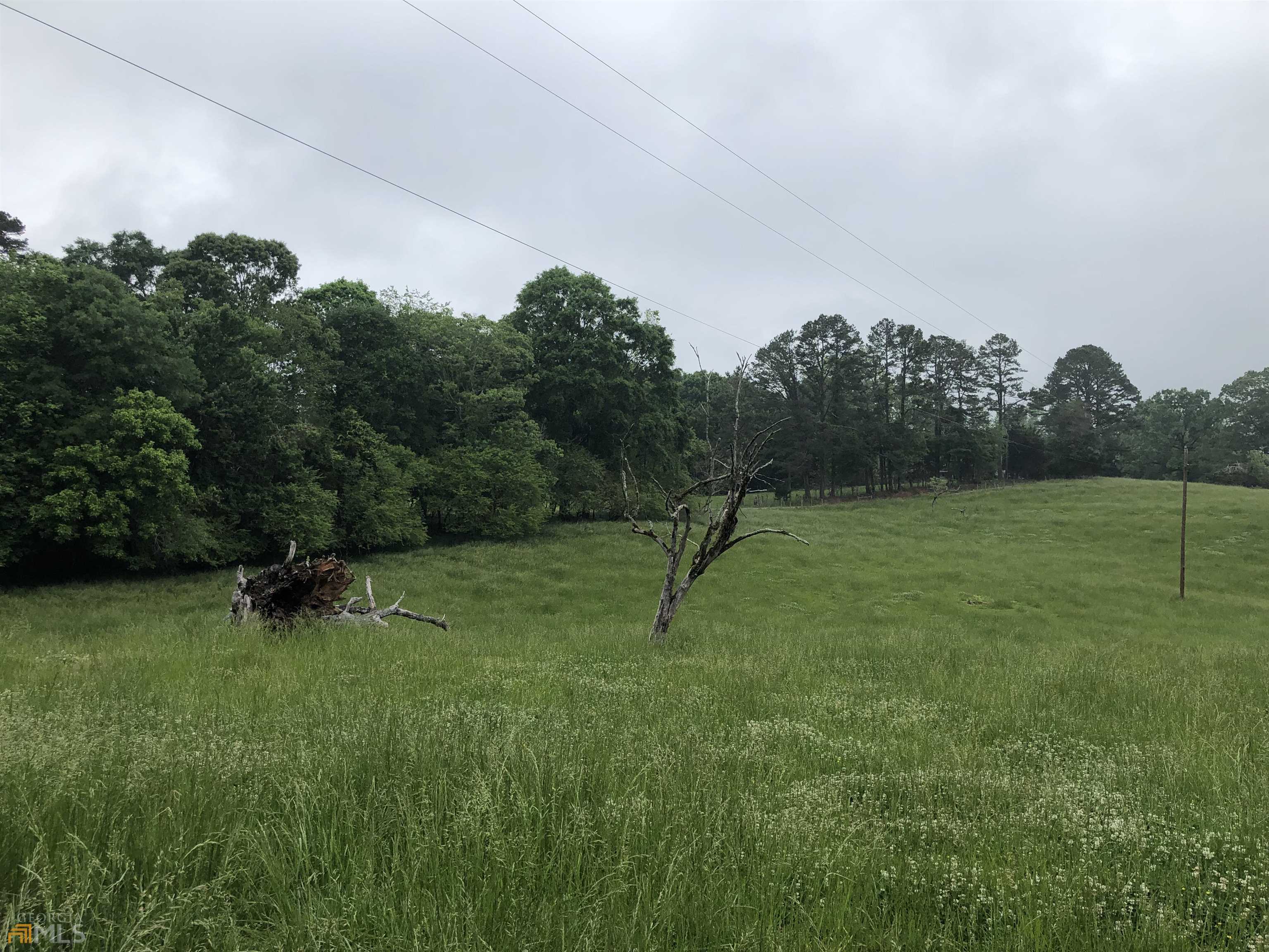 12.14-ac Bar Rod Road Demorest, GA 30535 - Photo 1 of 1 a view of a field of grass and trees