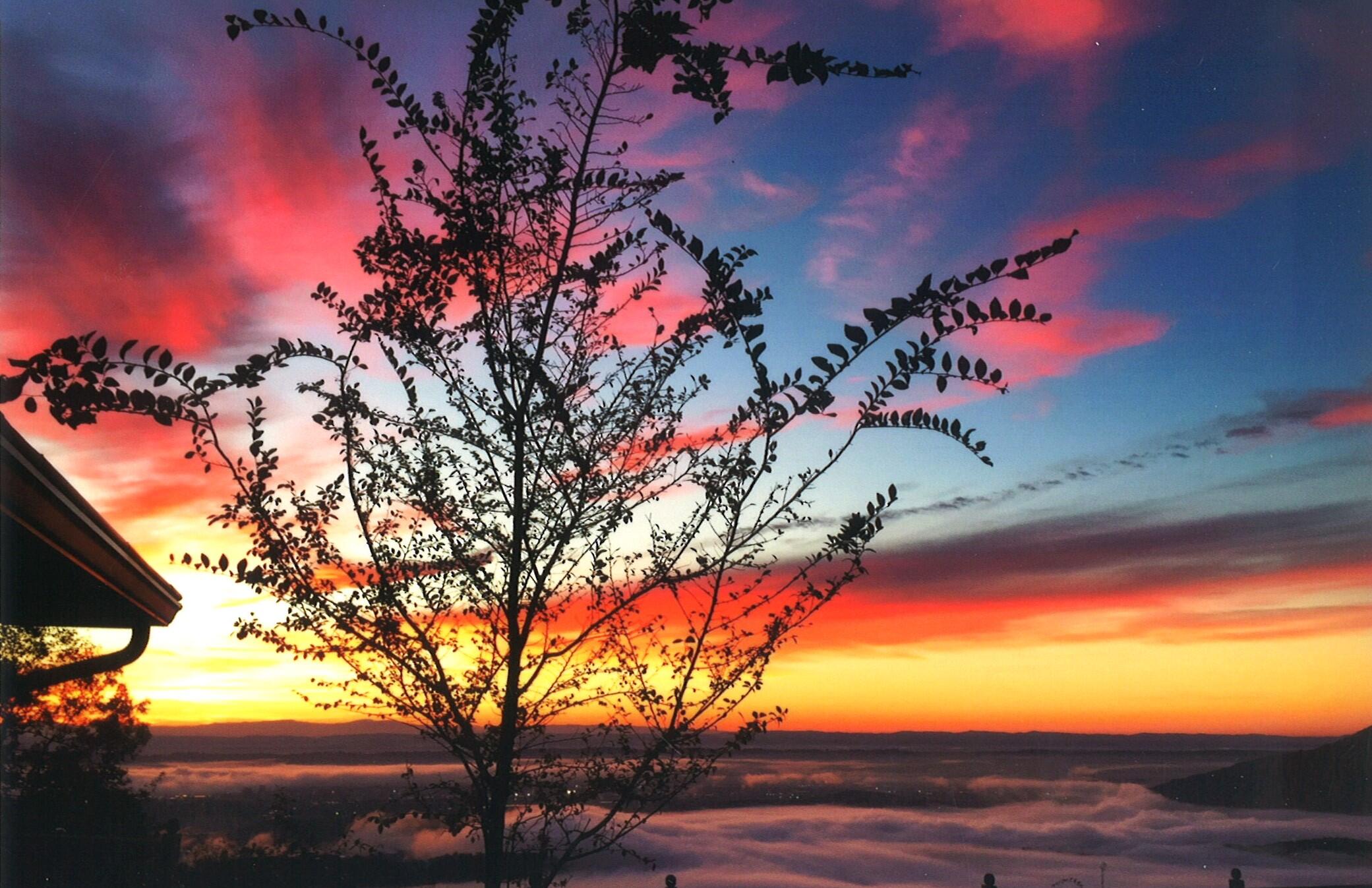 900 Cumberland Road Chattanooga, TN 37419 - Photo 38 of 73 Beauty above the clouds