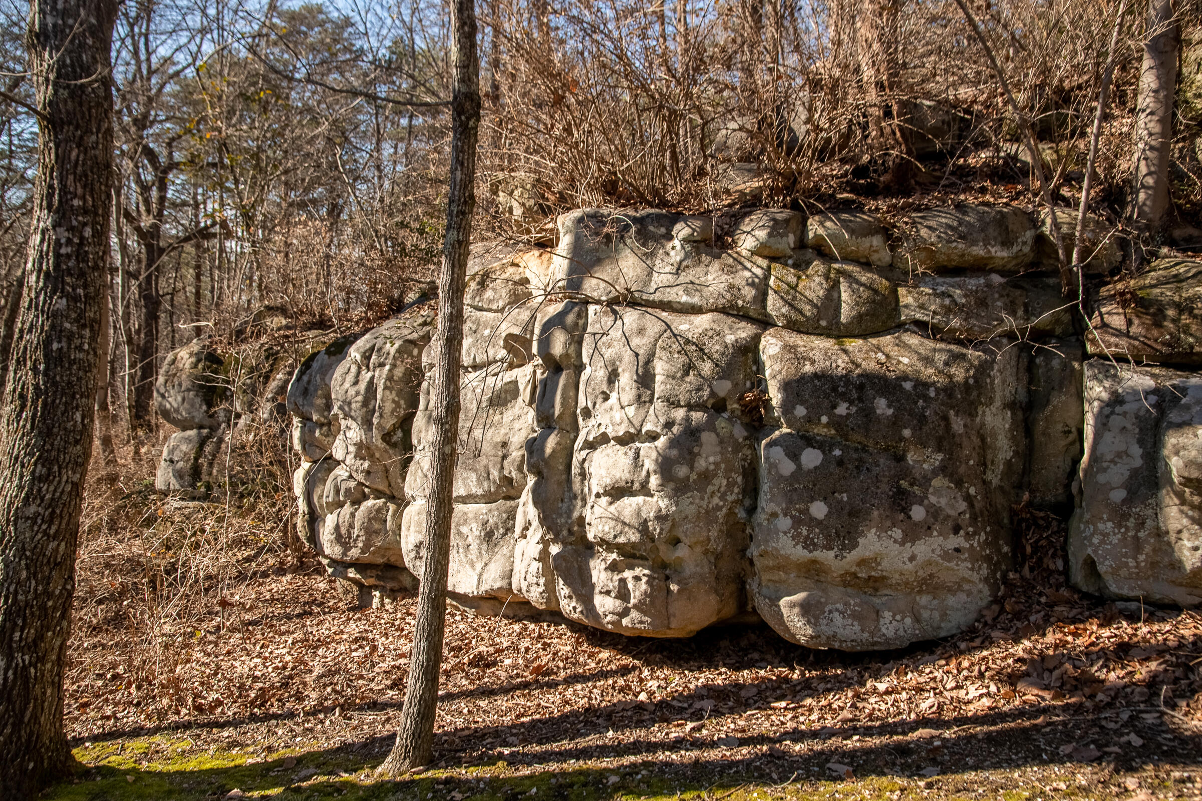 900 Cumberland Road Chattanooga, TN 37419 - Photo 52 of 73 CumberlandExteriors-40