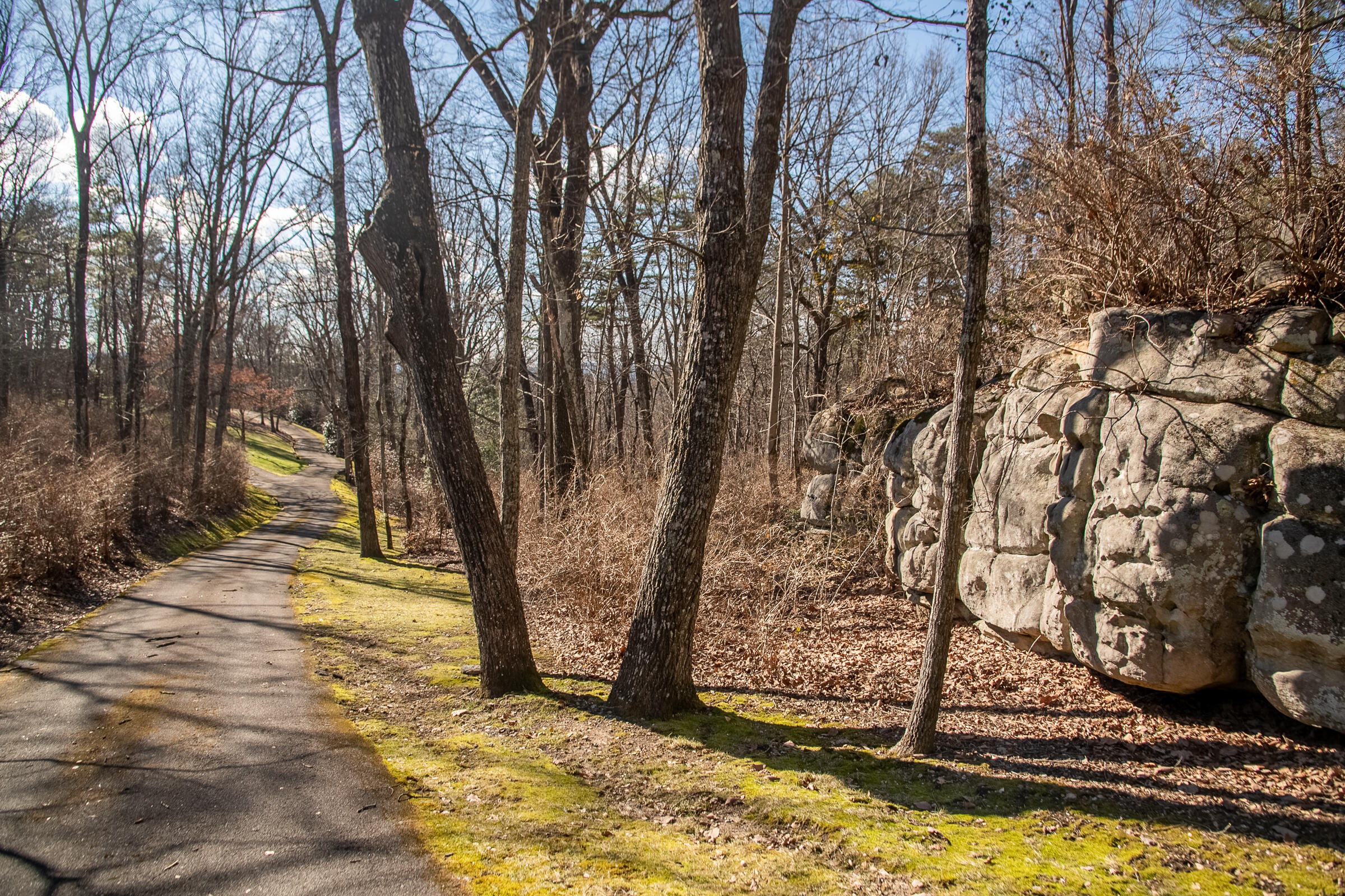 900 Cumberland Road Chattanooga, TN 37419 - Photo 59 of 73 CumberlandExteriors-41