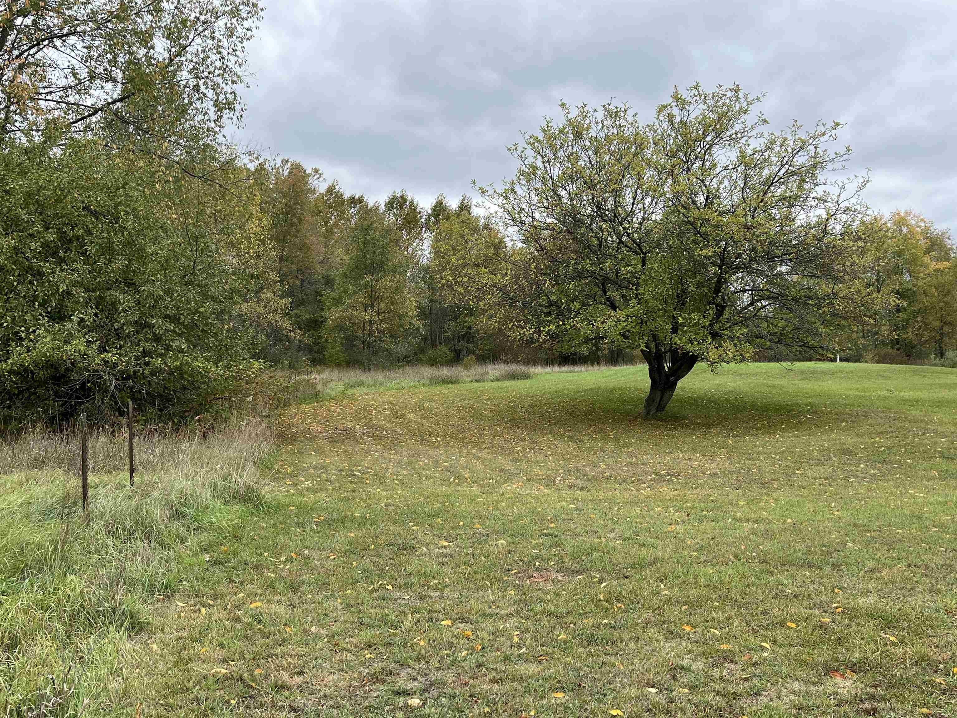 4132 Long Road Thompsonville, MI 49683 - Photo 26 of 34 Gallery Image 26