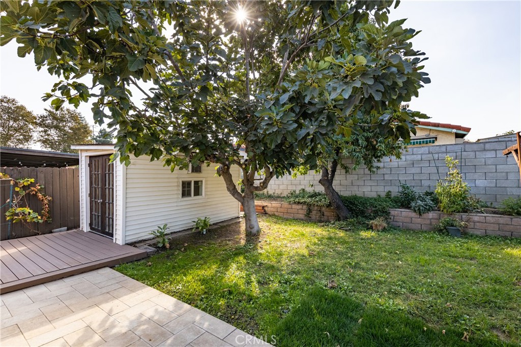 1954 Union Street Colton, CA 92324 - Photo 18 of 32 a view of a backyard with plants and large tree