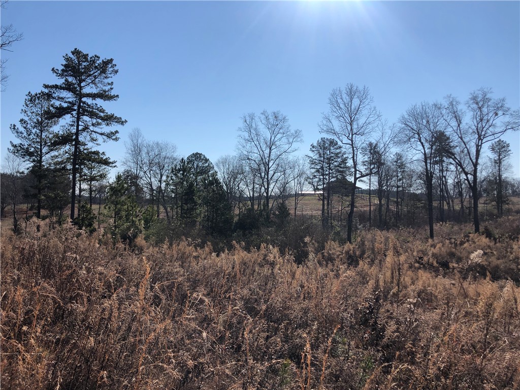 0 Sweetwater View Road Seneca, SC 29672 - Photo 13 of 28 Gallery Image 13