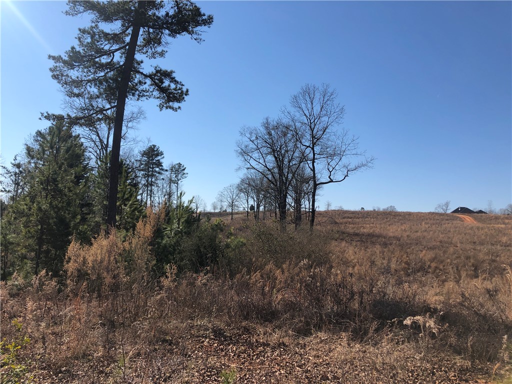 0 Sweetwater View Road Seneca, SC 29672 - Photo 15 of 28 Gallery Image 15