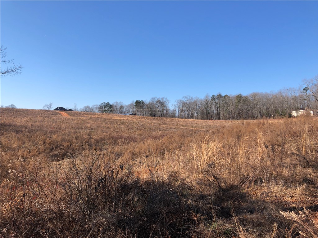 0 Sweetwater View Road Seneca, SC 29672 - Photo 16 of 28 Mostly Cleared Building Site