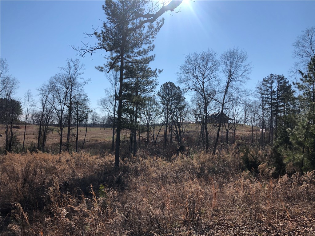 0 Sweetwater View Road Seneca, SC 29672 - Photo 17 of 28 Gallery Image 17