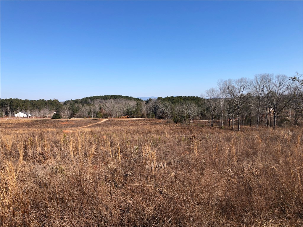 0 Sweetwater View Road Seneca, SC 29672 - Photo 18 of 28 Views of the Blue Ridge Mountains