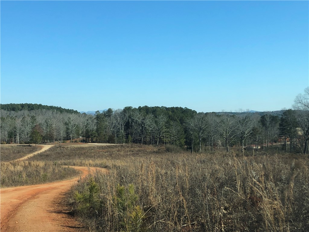 0 Sweetwater View Road Seneca, SC 29672 - Photo 19 of 28 Gallery Image 19