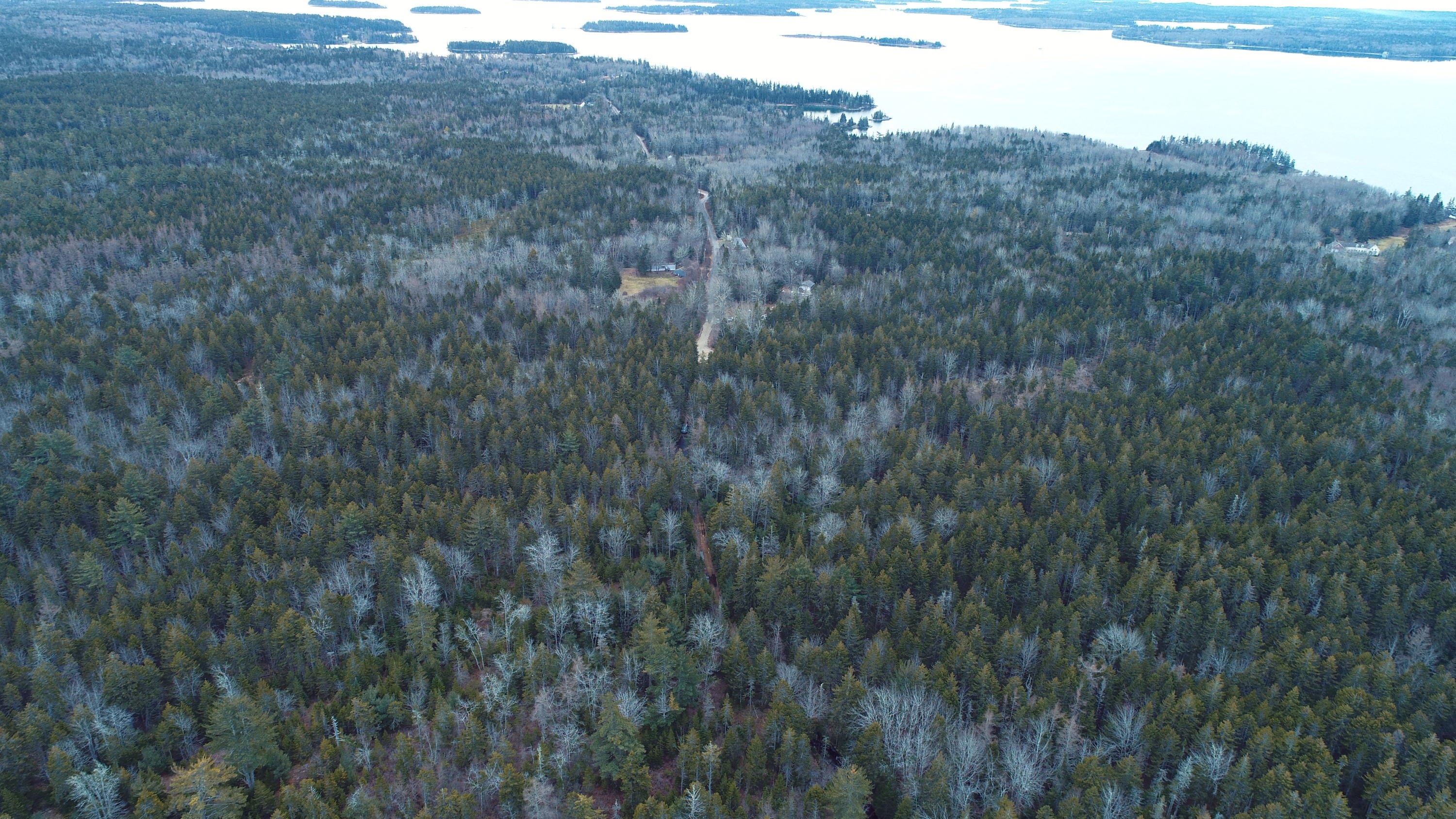 Off Folly Road Brooklin, ME 04616 - Photo 21 of 28 DJI_0020