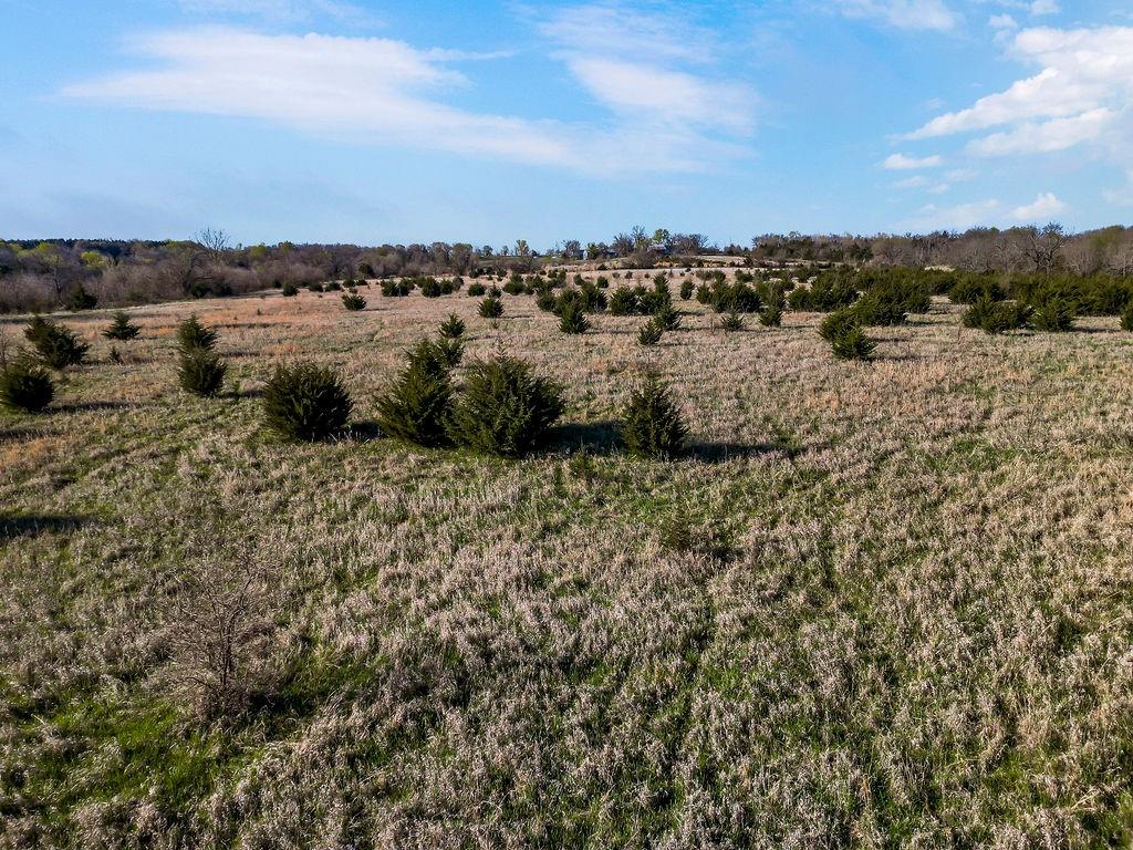 1 Vermont Road Rantoul, KS 66079 - Photo 3 of 4