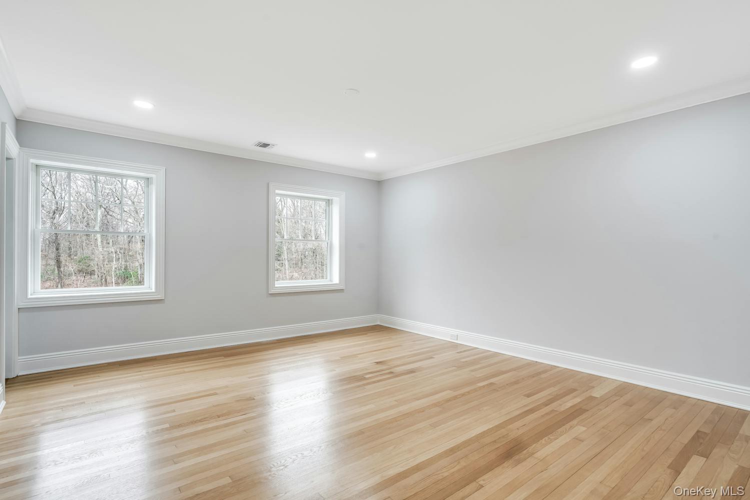 539 Split Rock Road Syosset, NY 11791 - Photo 23 of 40 Empty room with baseboards, ornamental molding, and plenty of natural light