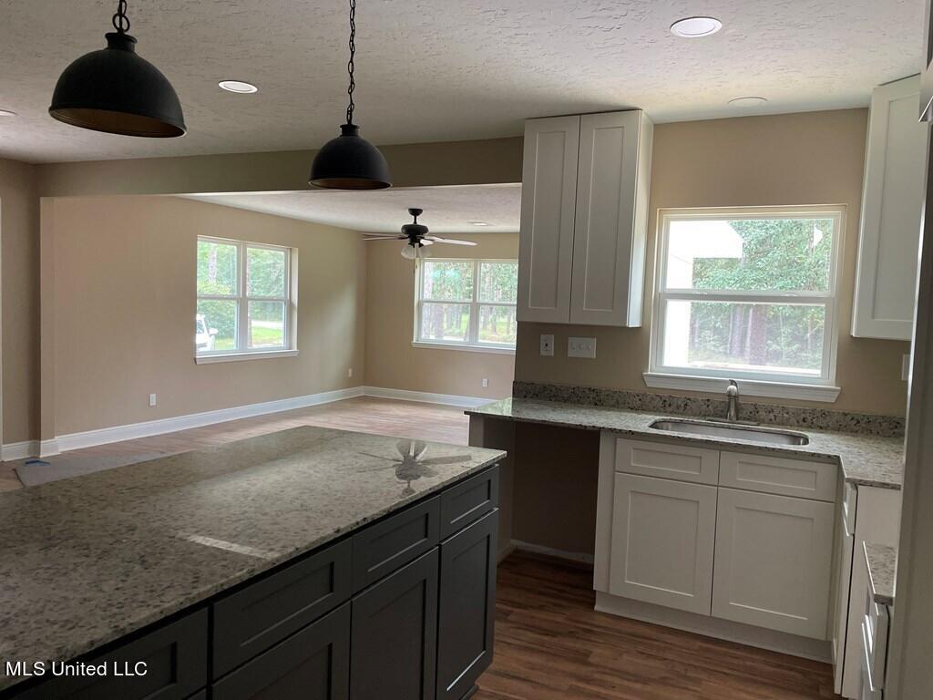 199 Oscar Smith Road Carriere, MS 39426 - Photo 2 of 13 176945_10