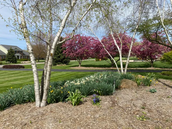 $769,900 | 2349 Windmill Way, Saline, MI 48176