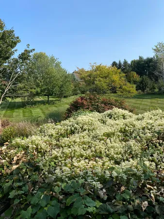 $769,900 | 2349 Windmill Way, Saline, MI 48176