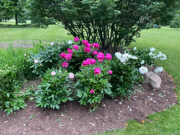 $769,900 | 2349 Windmill Way, Saline, MI 48176