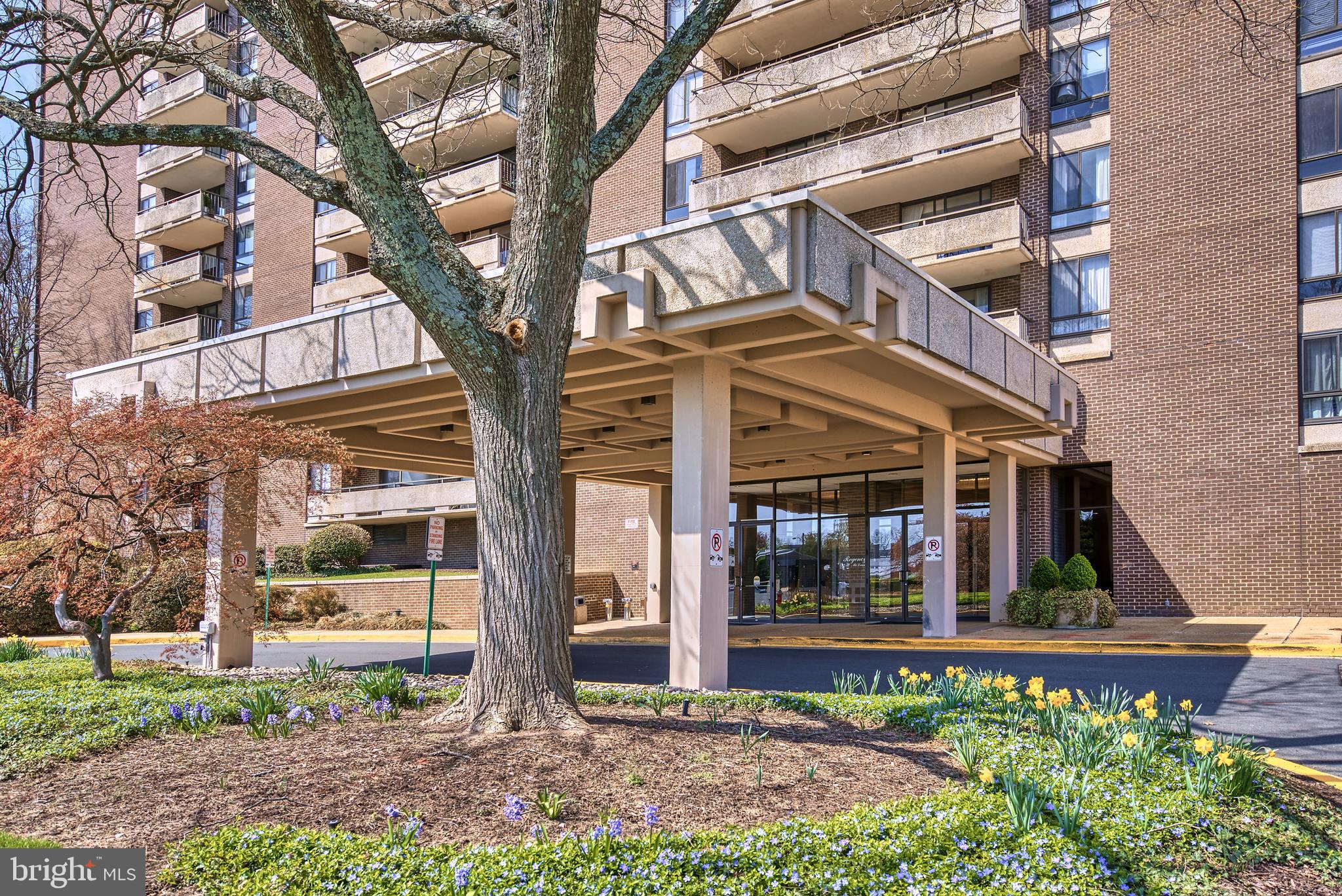 1800 Old Meadow Road, Unit 1006 McLean, VA 22102 - Photo 2 of 63 front view of a house with a tree in front of it