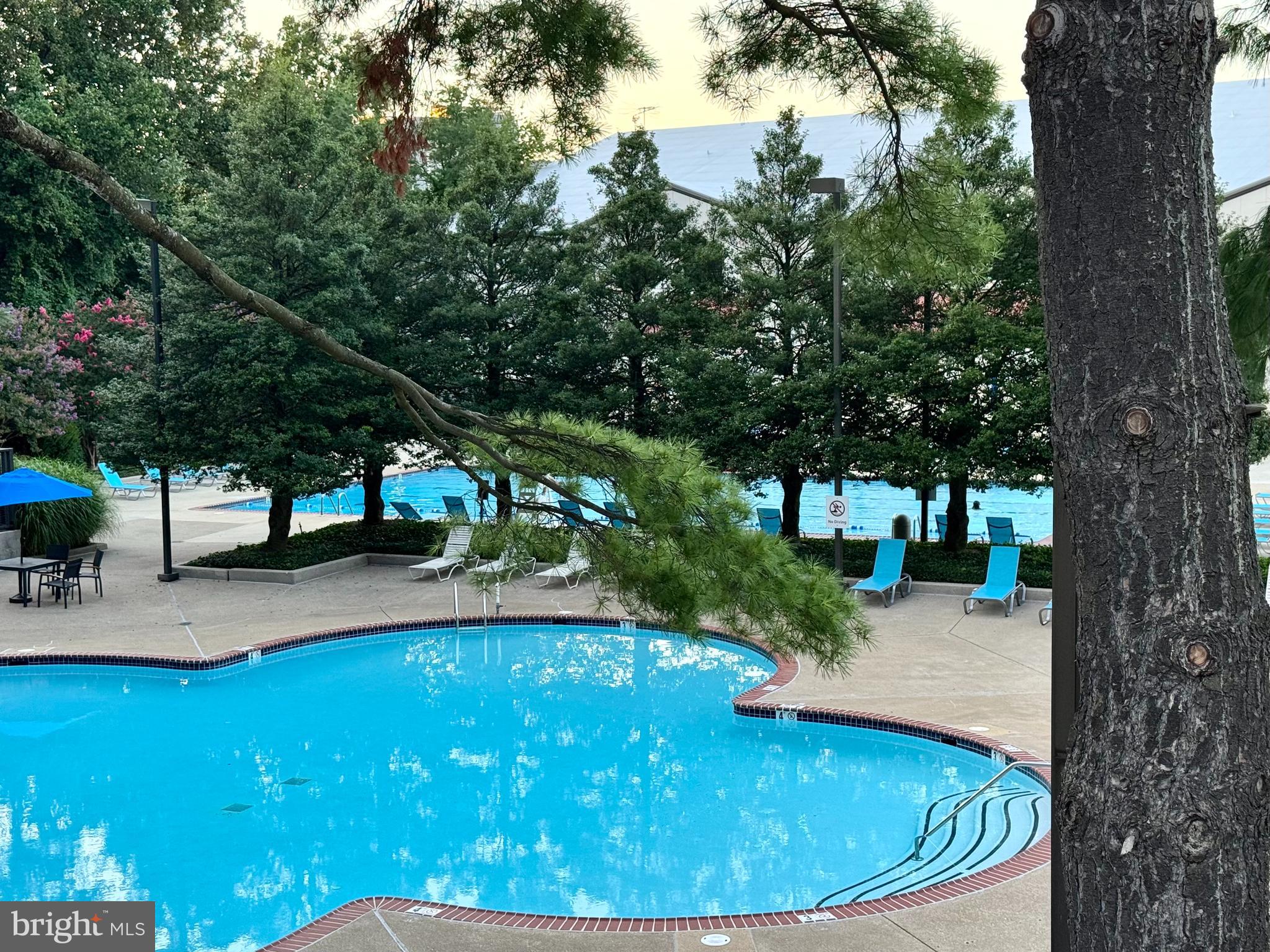 1800 Old Meadow Road, Unit 1006 McLean, VA 22102 - Photo 54 of 63 a view of a swimming pool with a patio