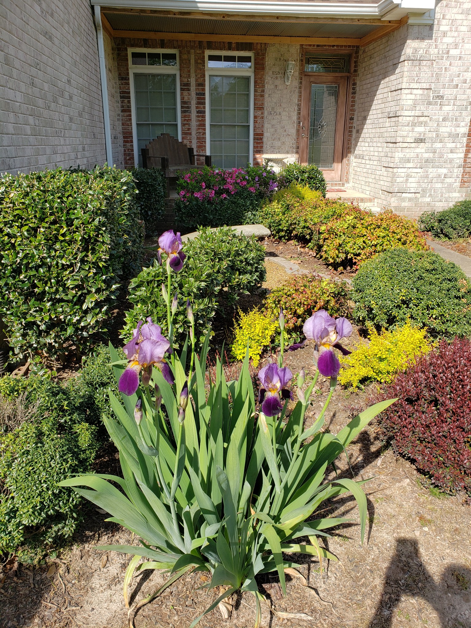 1058 Loop Drive Pleasant View, TN 37146 - Photo 36 of 60 Gallery Image 36
