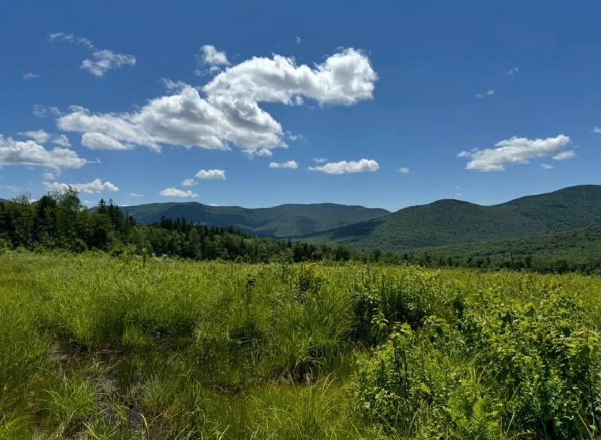 300 Fassett Hill Road Hancock, VT 05748 - Photo 4 of 4