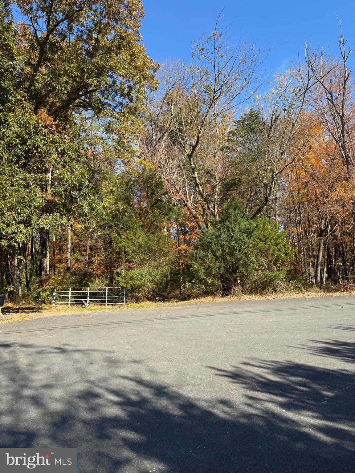 Blue Ridge Lane, Unit 24A3 Great Falls, VA 22066 - Photo 11 of 11 a view of a yard with an trees