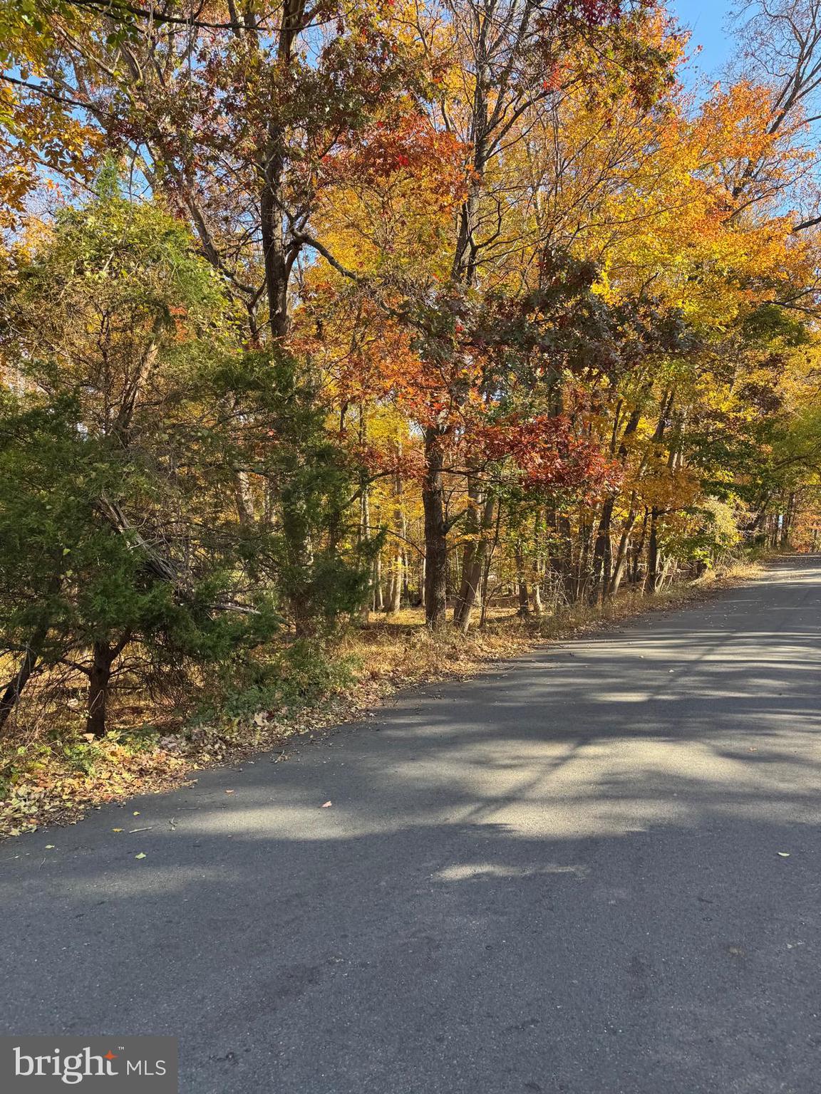 Blue Ridge Lane, Unit 24A3 Great Falls, VA 22066 - Photo 4 of 11 a view of road and trees
