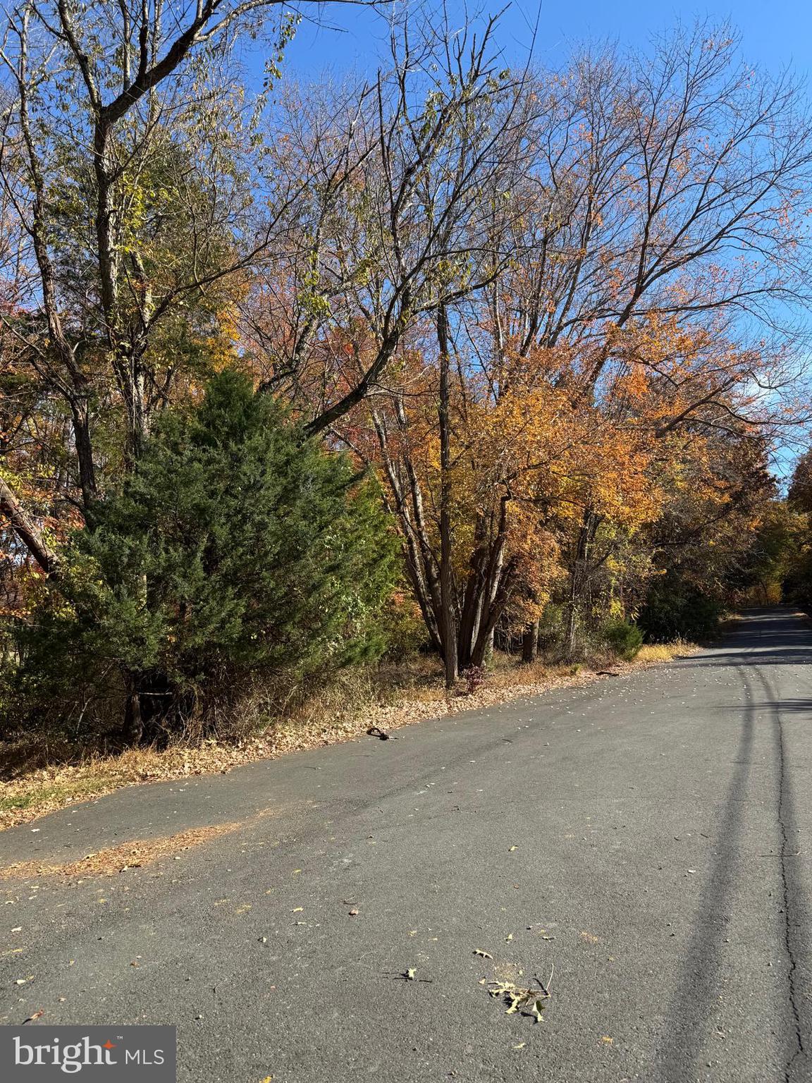 Blue Ridge Lane, Unit 24A3 Great Falls, VA 22066 - Photo 8 of 11 a view of road and trees