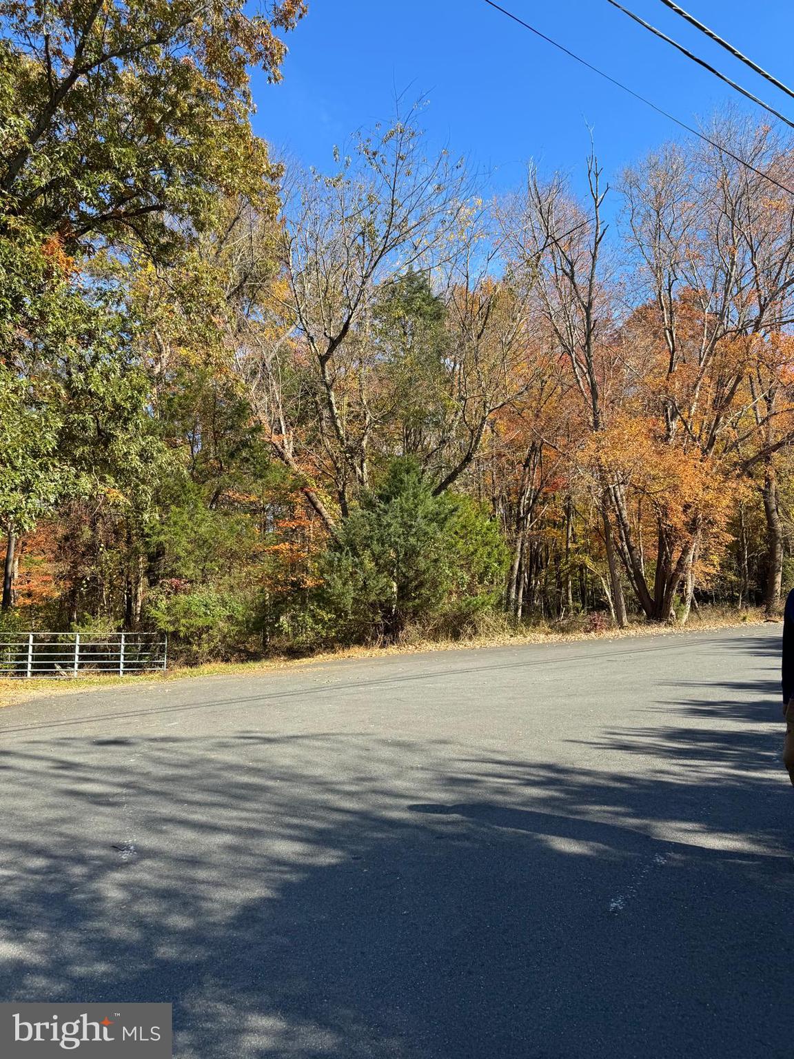 Blue Ridge Lane, Unit 24A3 Great Falls, VA 22066 - Photo 9 of 11 a view of a yard with large trees