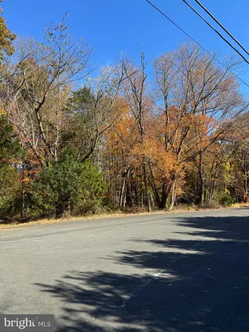 a view of a yard and road