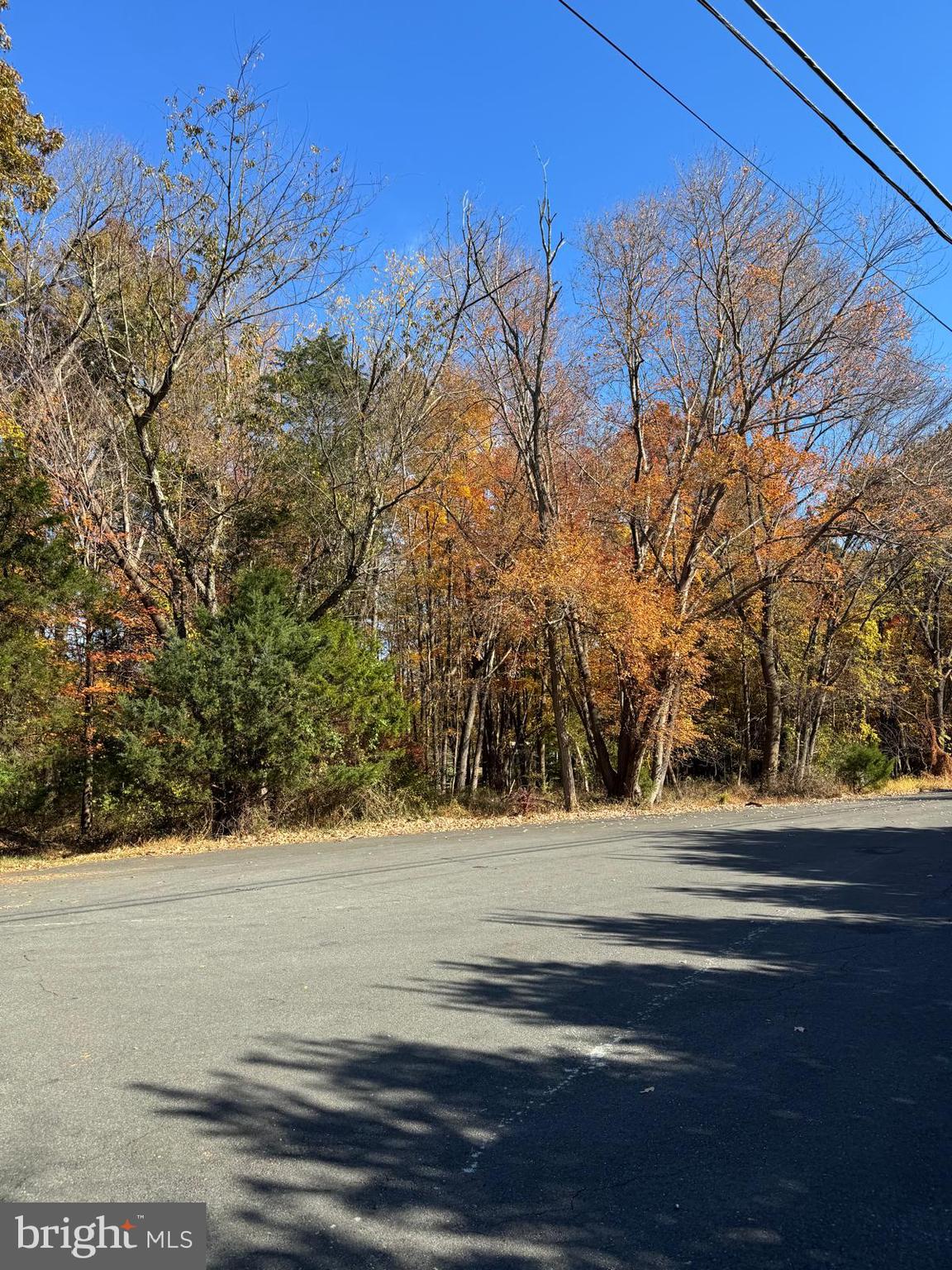 Blue Ridge Lane, Unit 24A3 Great Falls, VA 22066 - Photo 10 of 11 a view of a yard and road