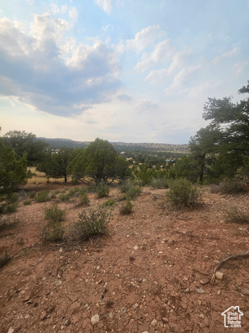 915 South Stagecoach Road, Unit 8 Fruitland, UT 84027 - Photo 19 of 40 Beautiful Property Views - Nice Large Trees!