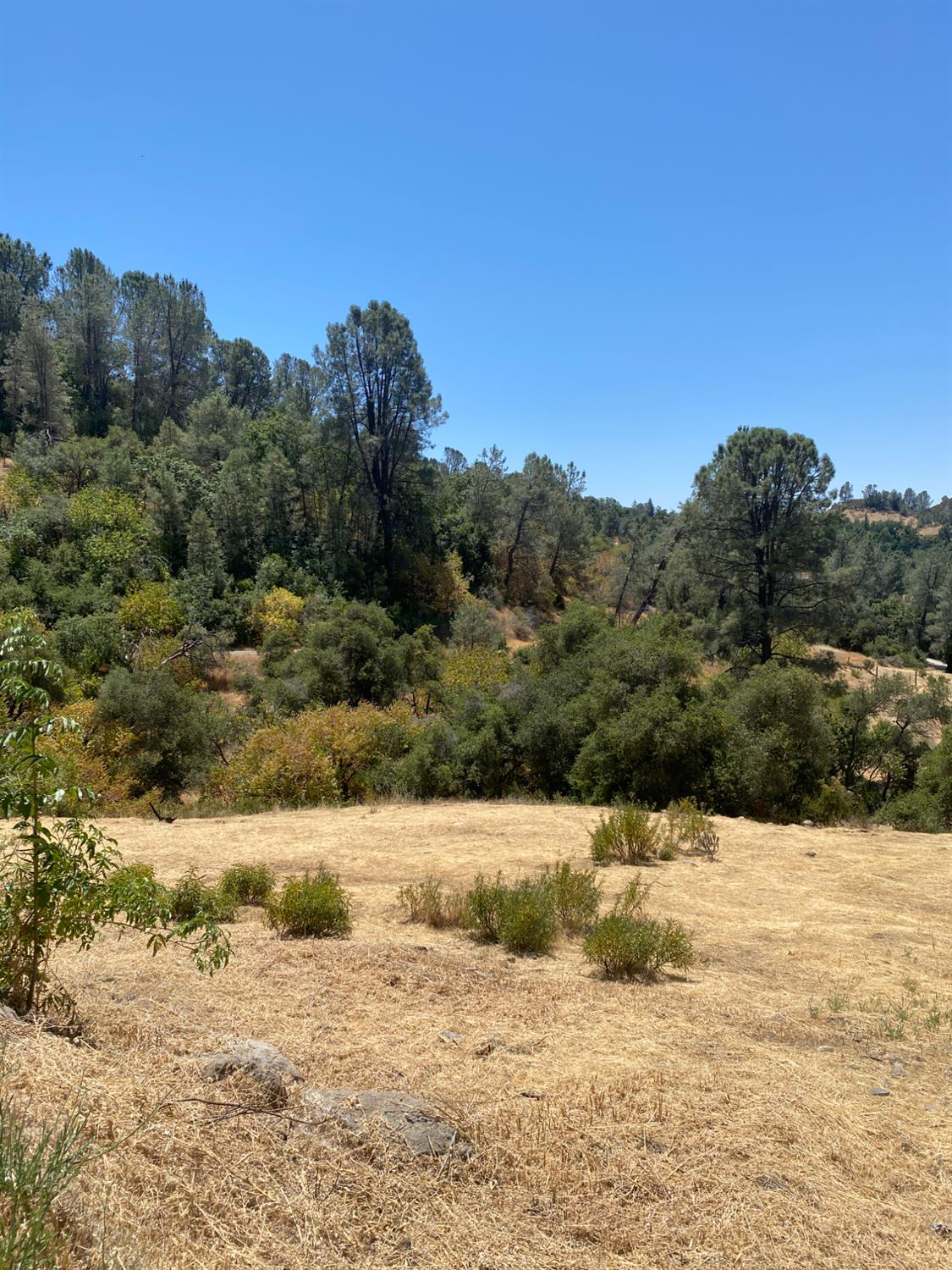 0 White Rock Road Mountain Ranch, CA 95246 - Photo 24 of 36 Gallery Image 24