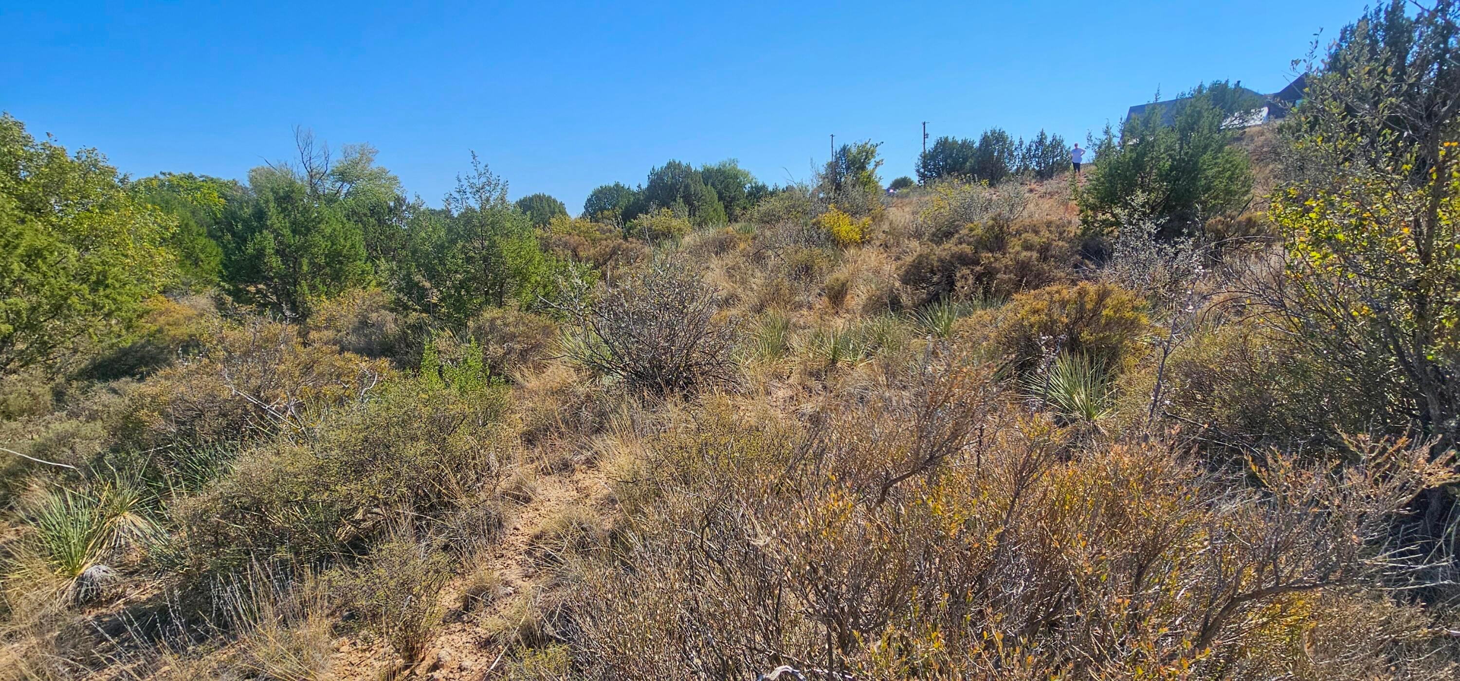 0 Fox Ridge Road Amarillo, TX 79118 - Photo 2 of 9 1000009506