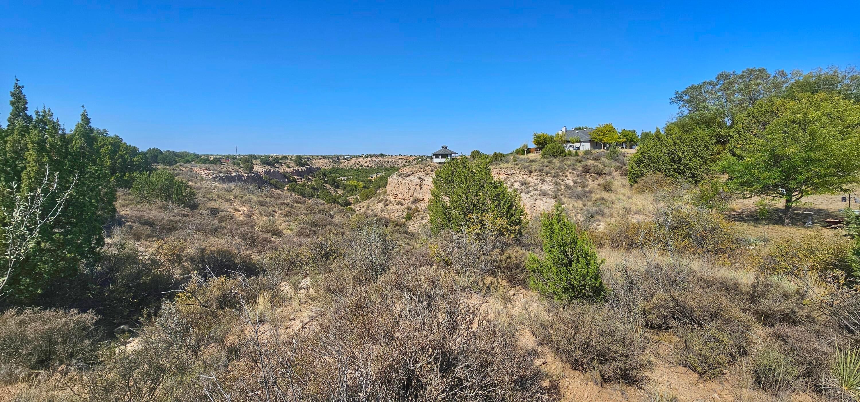 0 Fox Ridge Road Amarillo, TX 79118 - Photo 4 of 9 1000009505