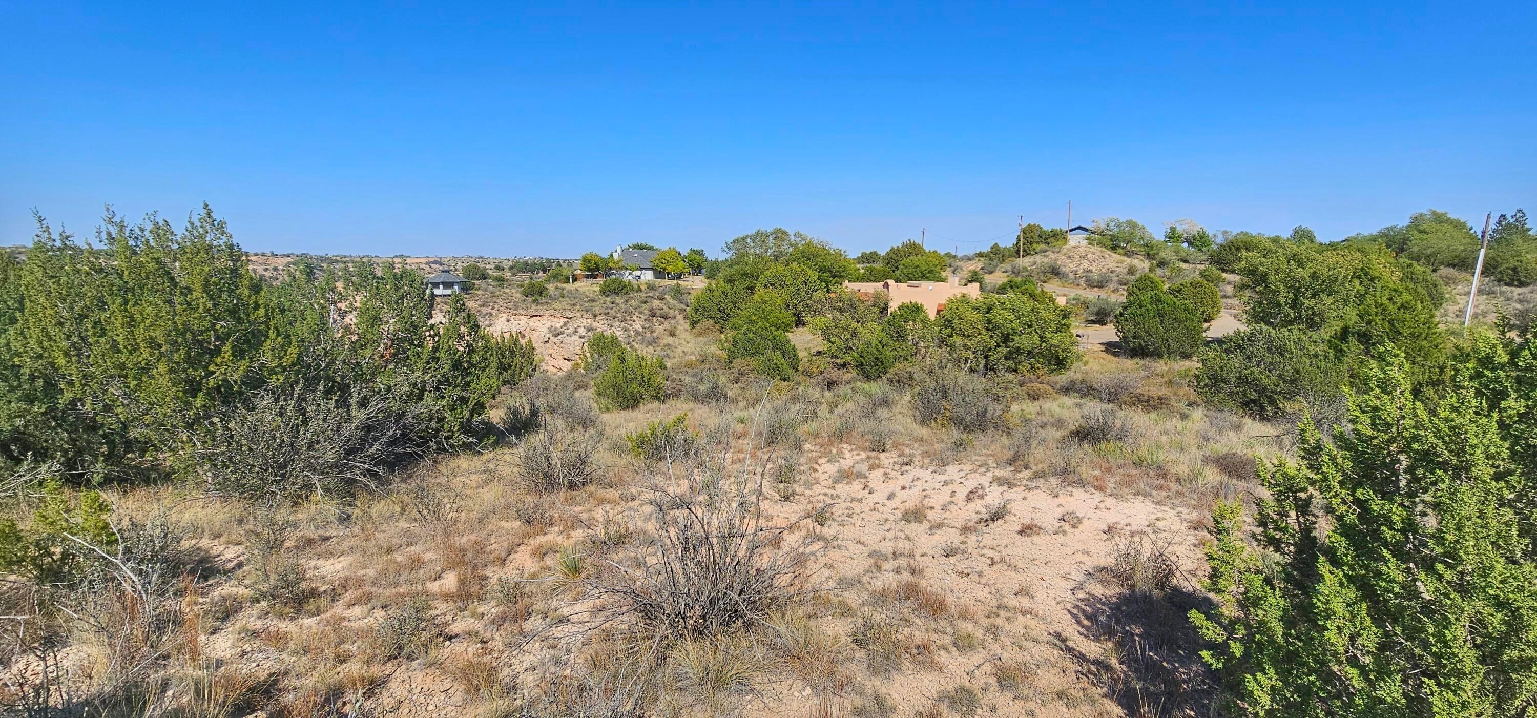 0 Fox Ridge Road Amarillo, TX 79118 - Photo 5 of 9 1000009504