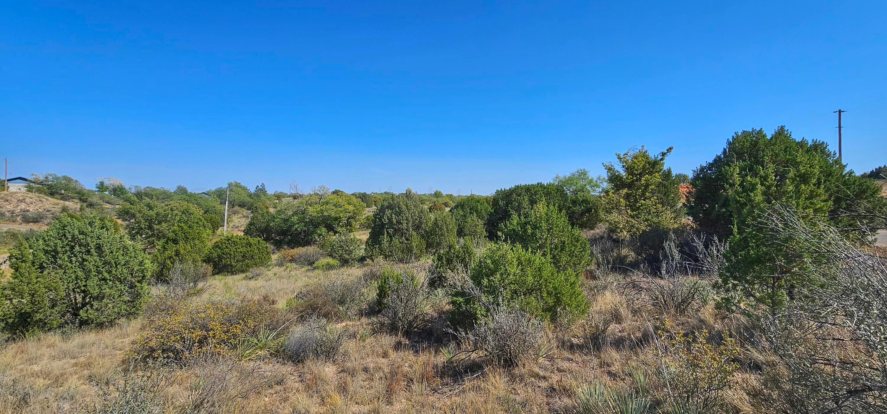 0 Fox Ridge Road Amarillo, TX 79118 - Photo 6 of 9 1000009503