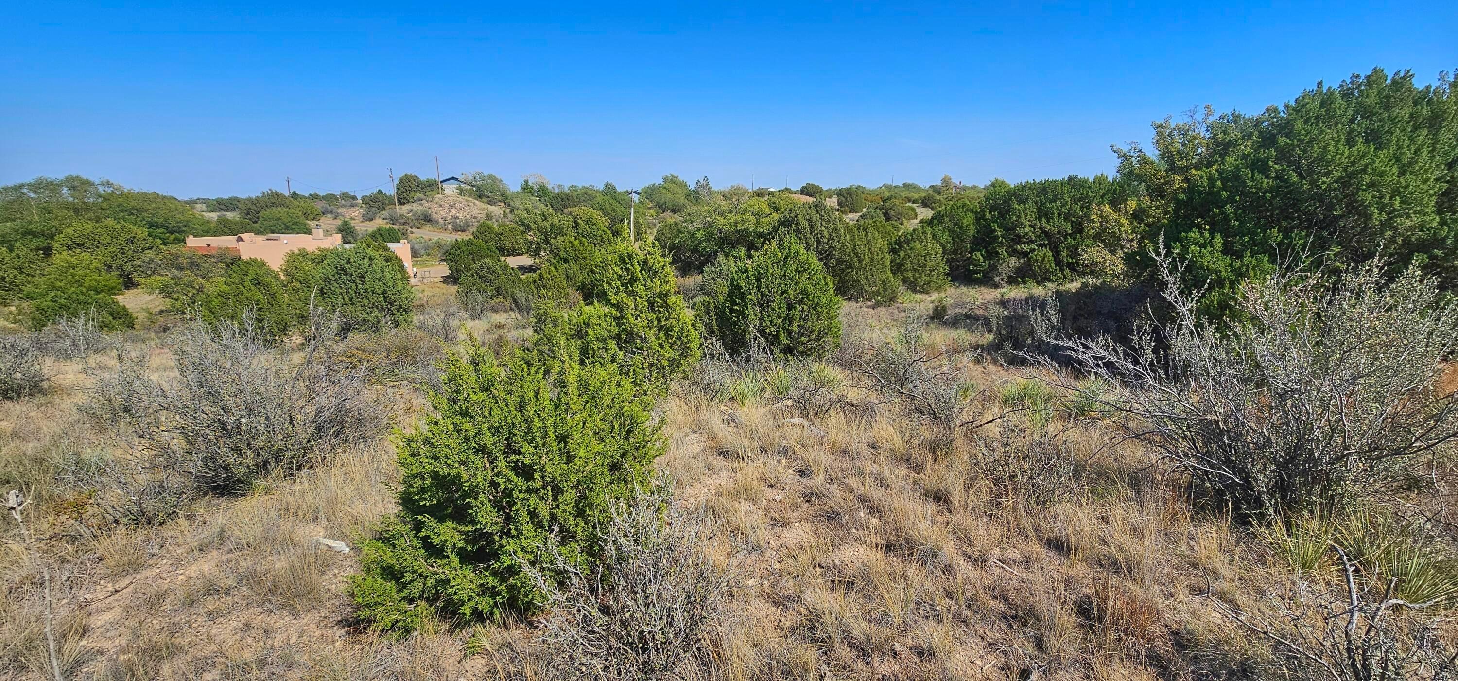 0 Fox Ridge Road Amarillo, TX 79118 - Photo 7 of 9 1000009502