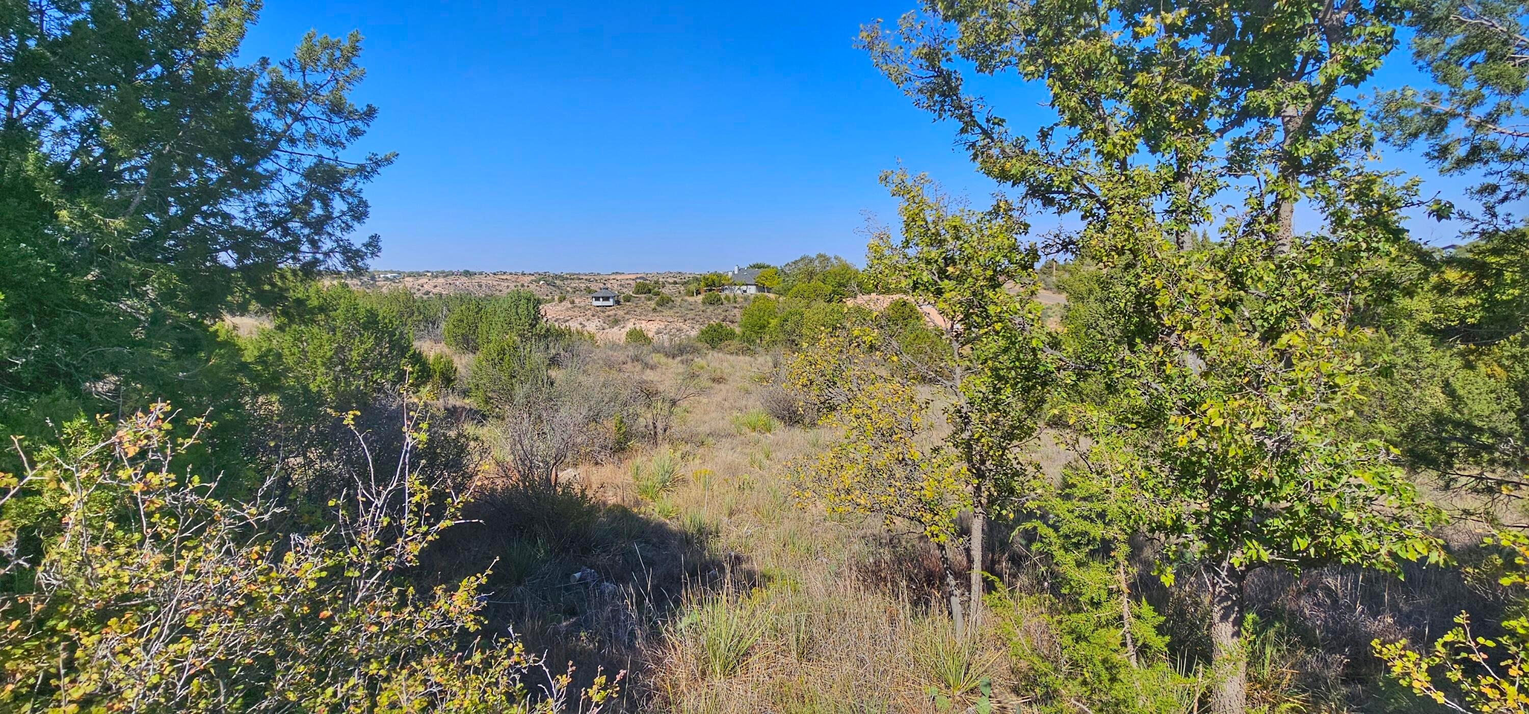 0 Fox Ridge Road Amarillo, TX 79118 - Photo 8 of 9 1000009501