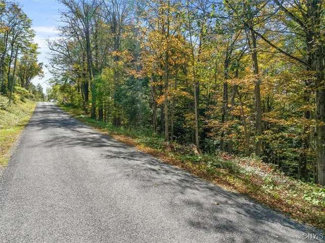 $29,999 | 0 Ball Road, Frankfort, NY 13340