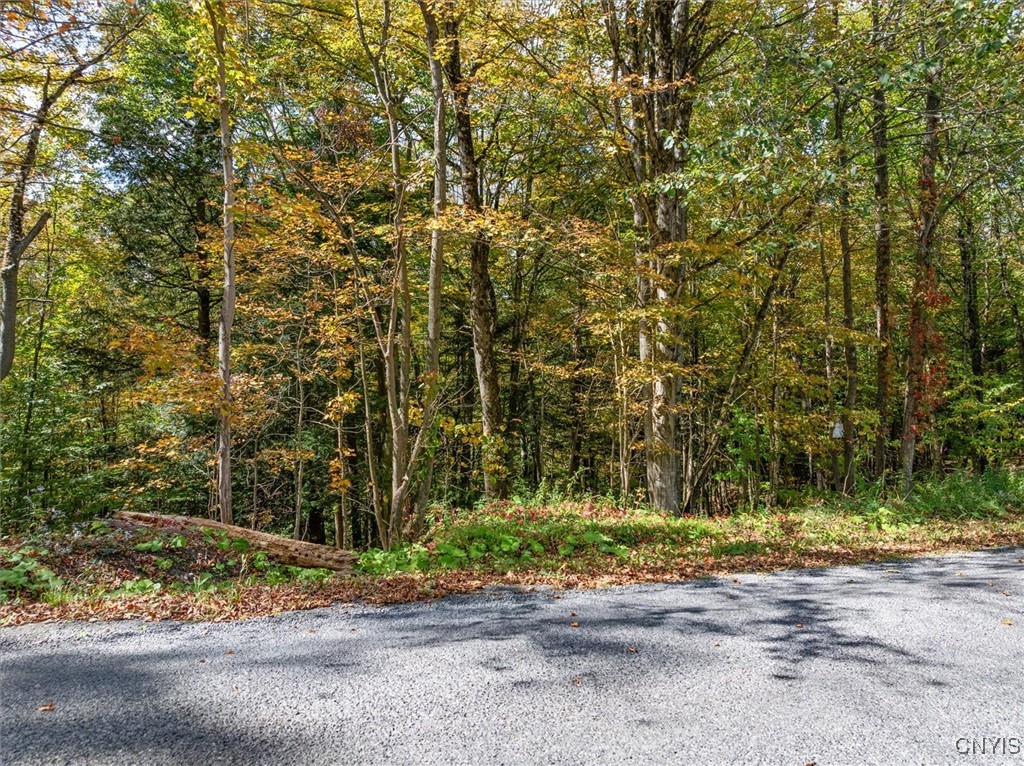0 Ball Road Frankfort, NY 13340 - Photo 2 of 6