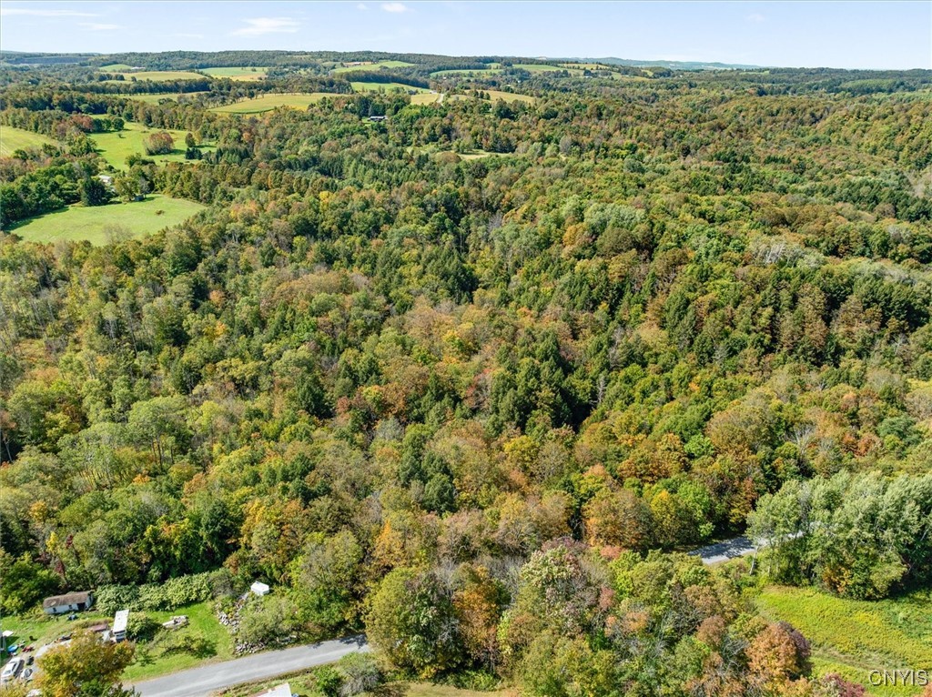 0 Ball Road Frankfort, NY 13340 - Photo 3 of 6