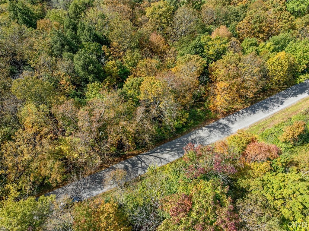 0 Ball Road Frankfort, NY 13340 - Photo 4 of 6
