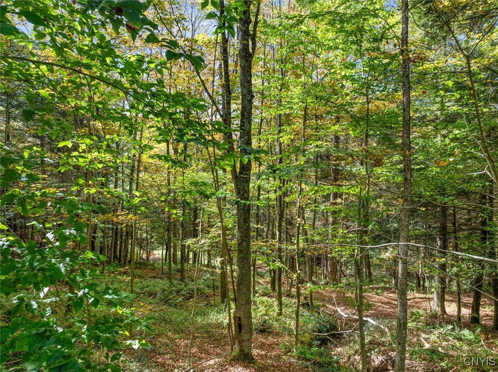 0 Ball Road Frankfort, NY 13340 - Photo 5 of 6