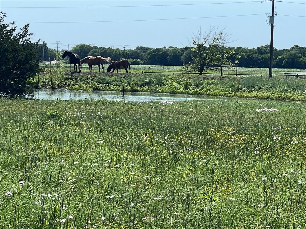 713 East Foster Crossing Road Anna, TX 75409 - Photo 1 of 1 a view of a golf course with a lake